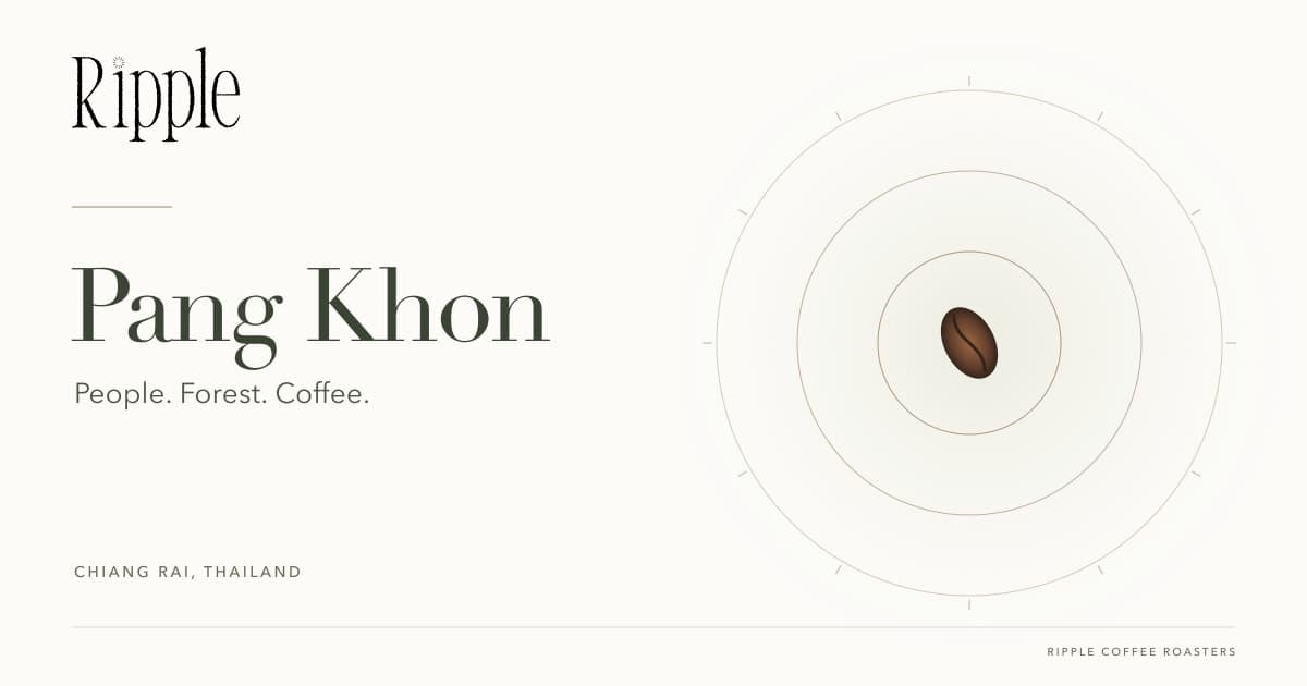 Ripple’s Pang Khon story cover with a coffee bean and water rings